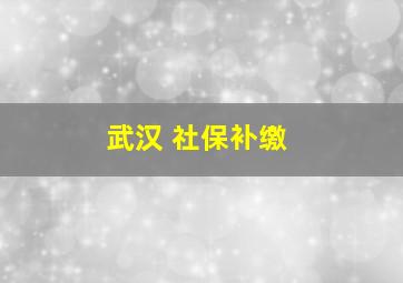 武汉 社保补缴